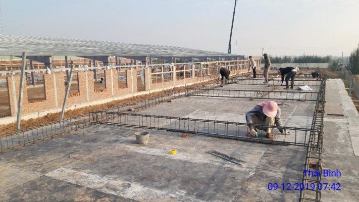 Garment Export Factory Oceans - Thuy Hai - Thai Thuy - Pacific
